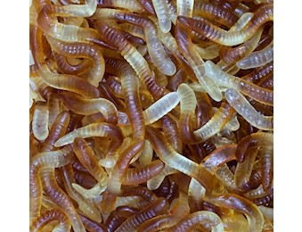 DRAGON GUMMIE COLA WORMS