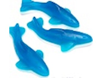 NOW BLUE/WHITE GUMMI SHARKS