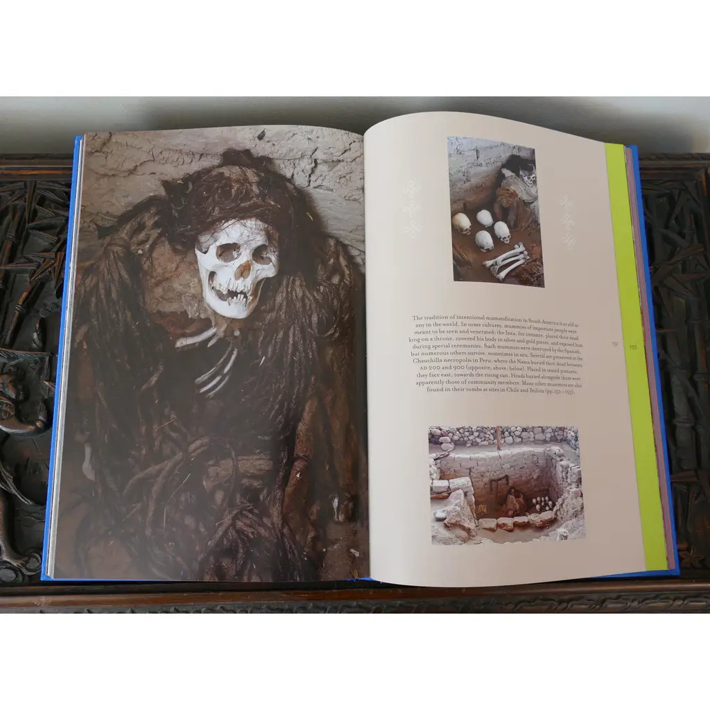 Memento Mori: The Dead Among Us 4