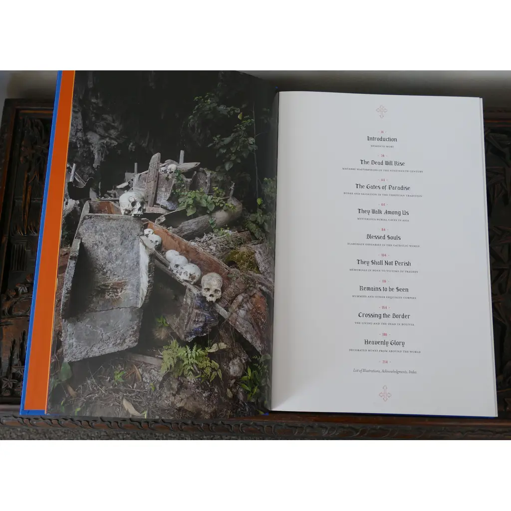 Memento Mori: The Dead Among Us 3